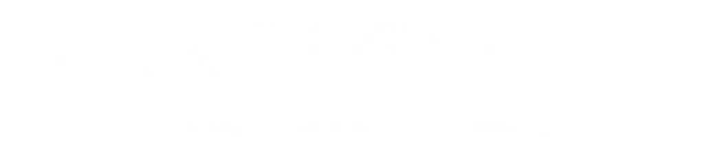 eventwishes white logo